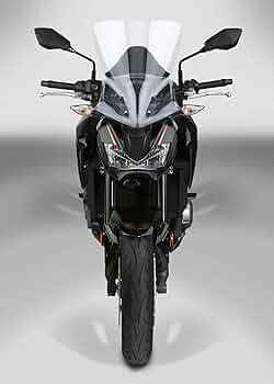 Amazon | National Cycle N20132 VStream フロントガラス - 18インチ